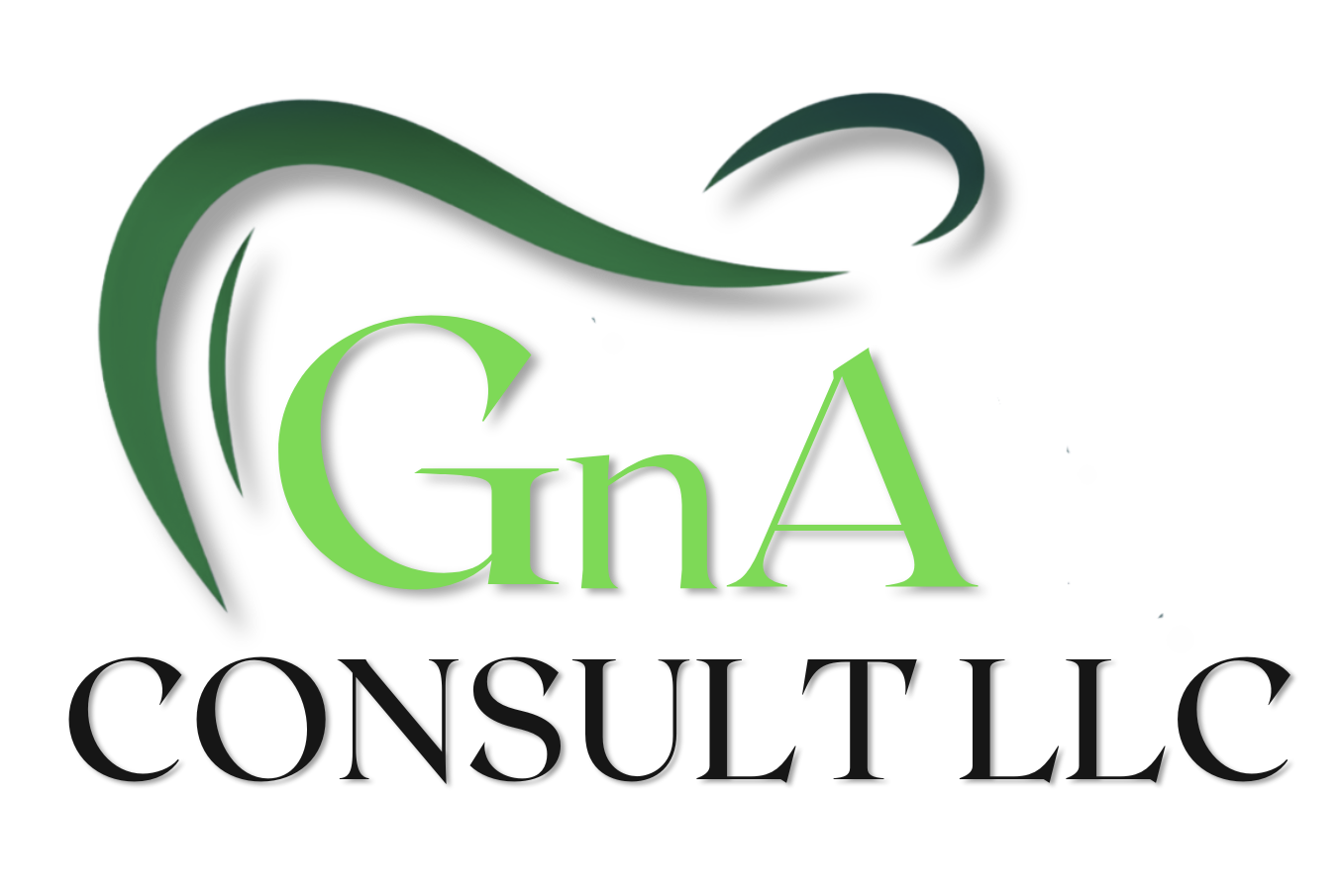 GnA Consult LLC Logo